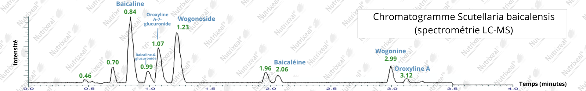 chromotogramme de Scutellaria baicalensis